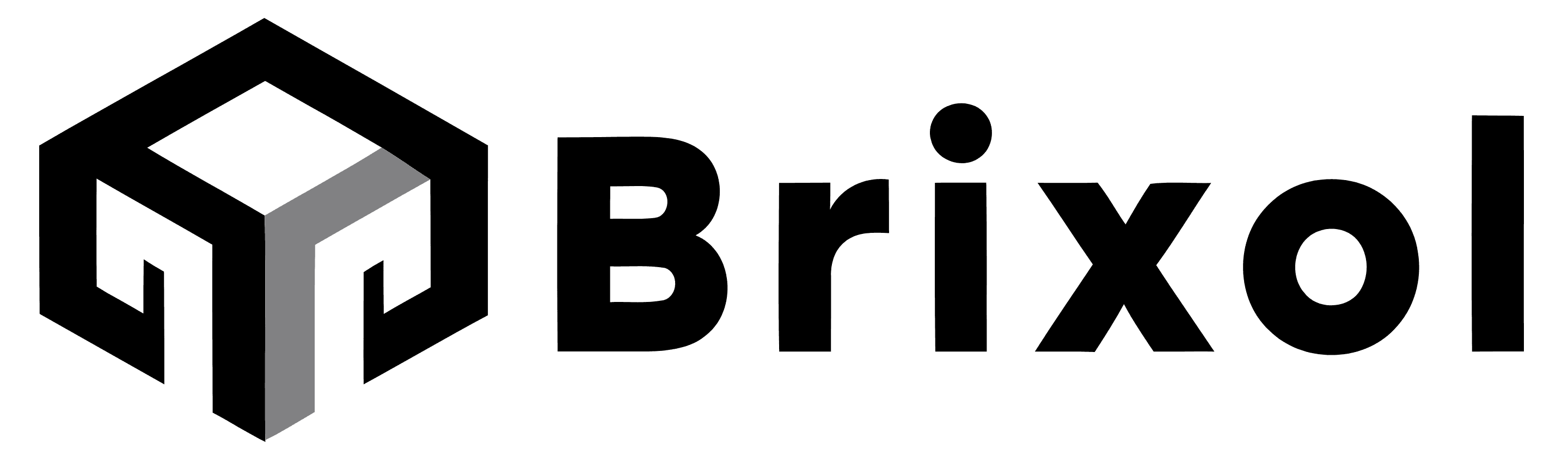 Brixol - Software Development and IT Consulting Company Logo